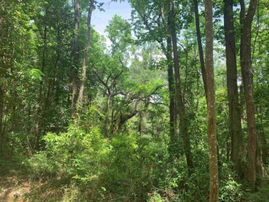 Lake Jackson - Leon County Lot For Sale in Tallahassee Florida