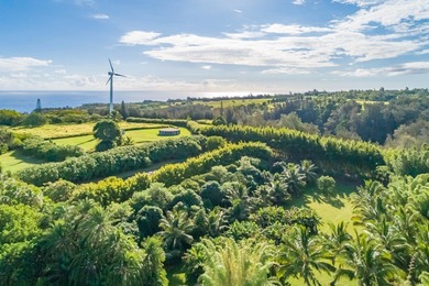 Searching for a legacy oceanfront ranch in North Kohala? This - photo 15