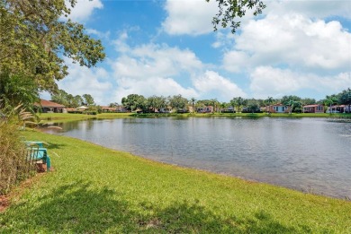 (private lake, pond, creek) Home Sale Pending in Land O Lakes Florida