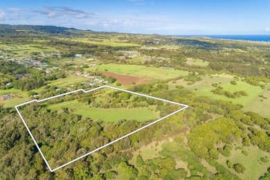 Searching for a legacy oceanfront ranch in North Kohala? This - photo 22