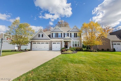 Lake Home For Sale in Medina, Ohio