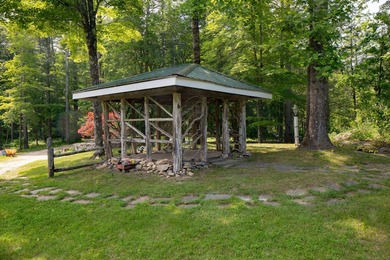Lake Access, 3+ acres, Inground Pool, and room for expansion! - photo 11