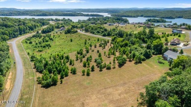 Watts Bar Lake Acreage For Sale in Rockwood Tennessee