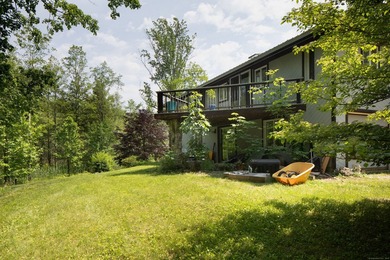 Lake Access, 3+ acres, Inground Pool, and room for expansion! - photo 12
