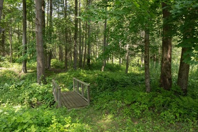 Lake Access, 3+ acres, Inground Pool, and room for expansion! - photo 13