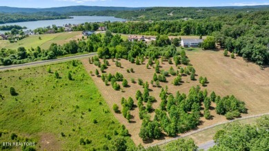 Watts Bar Lake Acreage For Sale in Rockwood Tennessee