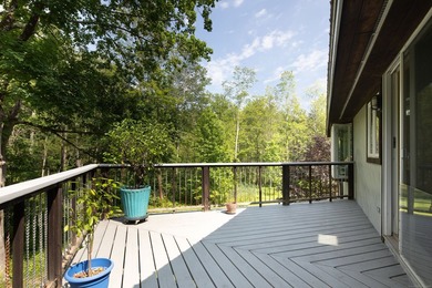 Lake Access, 3+ acres, Inground Pool, and room for expansion! - photo 29