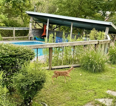 Lake Access, 3+ acres, Inground Pool, and room for expansion! - photo 32