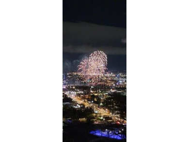 Welcome to Condo 4A at The Pinnacle Condominium Chattanooga - photo 35