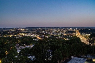 Welcome to Condo 4A at The Pinnacle Condominium Chattanooga - photo 38