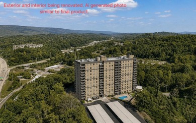 Welcome to Condo 4A at The Pinnacle Condominium Chattanooga - photo 39