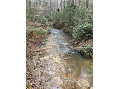 Lake Acreage For Sale in Northport, Alabama
