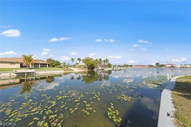 Enjoy living the southwest Florida lifestyle in this immaculate - photo 42