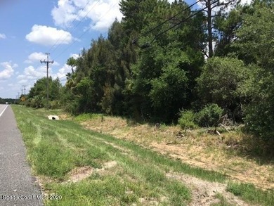 Seller Financing Available! Discover the exceptional potential - photo 7