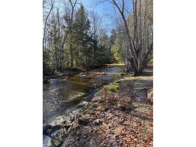 A unique riverfront property in a tranquil setting with 318 feet - photo 1
