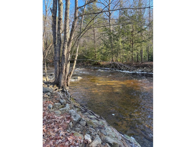 A unique riverfront property in a tranquil setting with 318 feet - photo 2