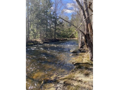 A unique riverfront property in a tranquil setting with 318 feet - photo 3