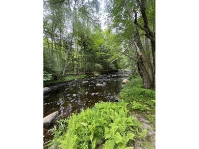 A unique riverfront property in a tranquil setting with 318 feet - photo 4