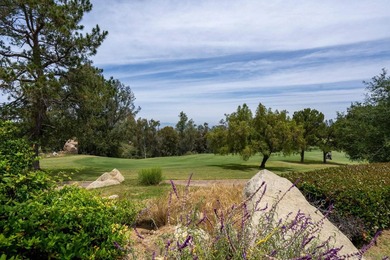 Don't miss this exceptional gated north side Mount Woodson home - photo 44