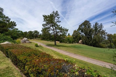 Don't miss this exceptional gated north side Mount Woodson home - photo 45