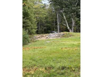 A unique riverfront property in a tranquil setting with 318 feet - photo 7
