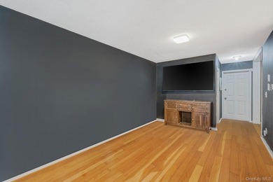 Well-maintained two-family home in East New York Brooklyn, NY - photo 7