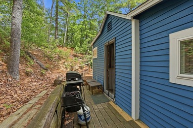 There are lakefront camps, and then there's 263 Caldwell Lane - photo 10