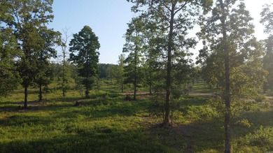 This peaceful and quiet 3.74-acre lot is located just 1.5 north - photo 11