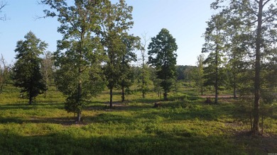 This peaceful and quiet 3.74-acre lot is located just 1.5 north - photo 12