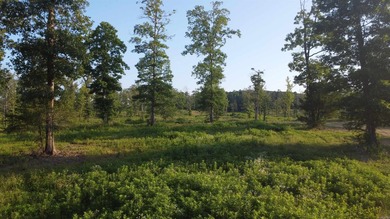 This peaceful and quiet 3.74-acre lot is located just 1.5 north - photo 13