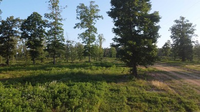 This peaceful and quiet 3.74-acre lot is located just 1.5 north - photo 14