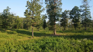 This peaceful and quiet 3.74-acre lot is located just 1.5 north - photo 15