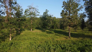 This peaceful and quiet 3.74-acre lot is located just 1.5 north - photo 16