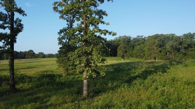 This peaceful and quiet 3.74-acre lot is located just 1.5 north - photo 17