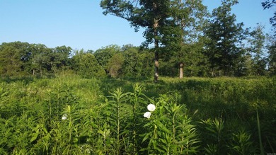 This peaceful and quiet 3.74-acre lot is located just 1.5 north - photo 18