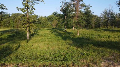 This peaceful and quiet 3.74-acre lot is located just 1.5 north - photo 20