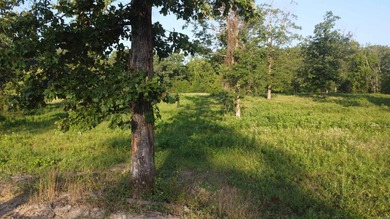 This peaceful and quiet 3.74-acre lot is located just 1.5 north - photo 21