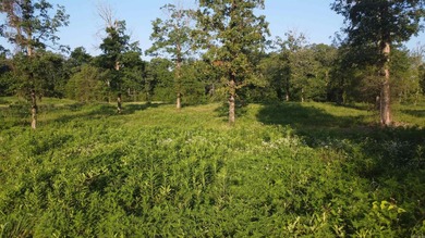 This peaceful and quiet 3.74-acre lot is located just 1.5 north - photo 22