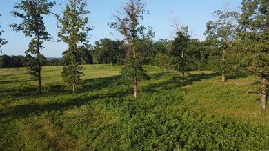This peaceful and quiet 3.74-acre lot is located just 1.5 north - photo 23