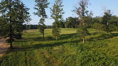 This peaceful and quiet 3.74-acre lot is located just 1.5 north - photo 24