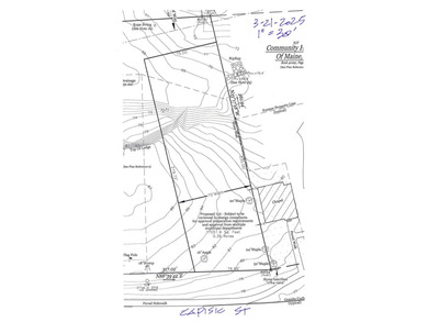 Expansive, Sun-Filled Lot in Portland's Desirable - photo 4