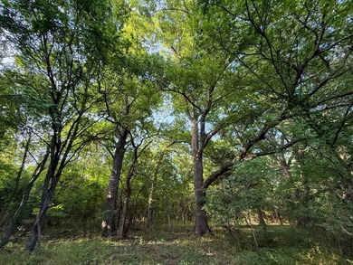 Introducing Tract 10: If privacy and mature timber are at the - photo 25