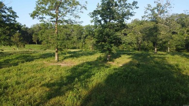 This peaceful and quiet 3.74-acre lot is located just 1.5 north - photo 26