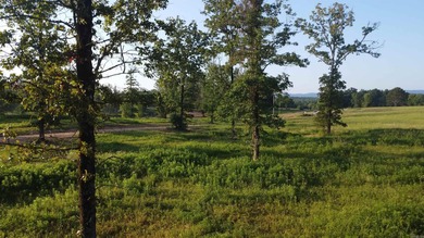 This peaceful and quiet 3.74-acre lot is located just 1.5 north - photo 28