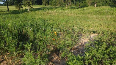 This peaceful and quiet 3.74-acre lot is located just 1.5 north - photo 29