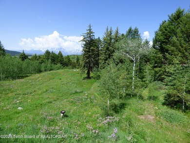 At the entrance to Buffalo Valley this Teton Wilderness classic - photo 29