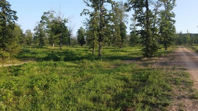 This peaceful and quiet 3.74-acre lot is located just 1.5 north - photo 32