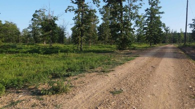 This peaceful and quiet 3.74-acre lot is located just 1.5 north - photo 33