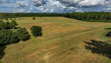 Property consists of: Over 8000' of Cahaba River Frontage - - photo 3