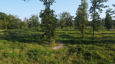 This peaceful and quiet 3.74-acre lot is located just 1.5 north - photo 34